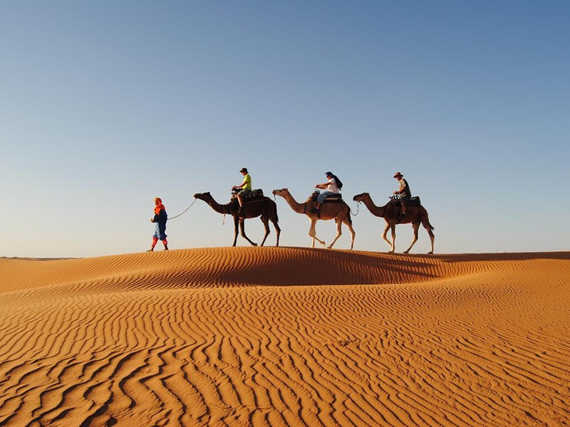 Erg Chebbi Dunes - Sahara Desert