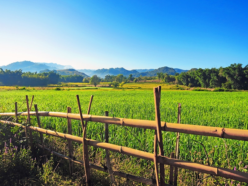 Kalaw