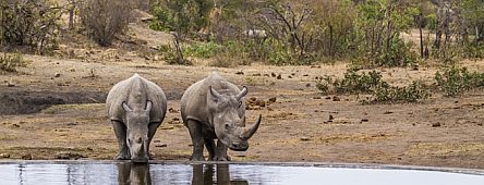 South Africa