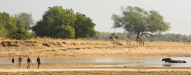 Zambia