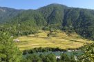 Punakha Valley