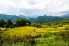On trek - views of Takahara