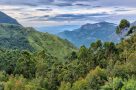 Gentle walking wildlife kerala Top Valley Trek Munnar