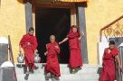 Monks at Thikse Monastery. Image by L Bissett