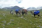 Crossing the Kharkhiraa Pass. Image by P Smith
