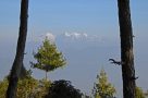 Mountain view from Haatiban framed by the trees