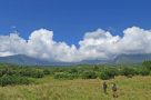 Trekking in Arusha National Park. Image by H Gray