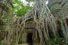 Ta Prohm, Cambodia. Image by A Palmer