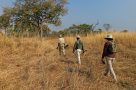 Safari walk near Luwi. Image by J Limburn-Turner