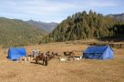 Camp, on trek to Ogyen Choling. Image by G Hall