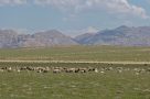 Walk to Little Gobi
