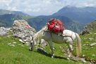 On trek to Milishevc