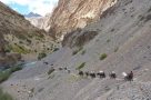 Kingdom of Zanskar trek Ladakh jpg5 750x500
