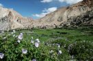 Scenery on trek from Upper Hangkar to Nimaling