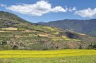 The Haa Valley