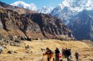 On trek Annapurna Sanctuary. Image by D Cook