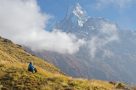 View of Machhapuchare