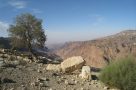 On trek from Wadi Dana