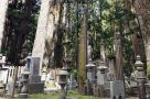 Walking through the Okuno-in Cemetery, Mount Koya. Image by H Gray