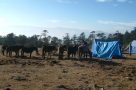 Yak herders' camp. Image by K Barlow