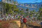 Prayer flags on descent to Thimphu. Image by A Tierney