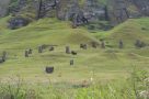 Rano Raraku moai quarry, Easter Island