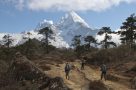 Trek to Mende. Image by K Fry