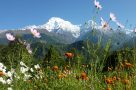 View of Dhaulagiri mountain range. Photo by J Barenblatt