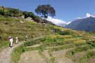 Stunning trekking through remote villages with impressive views.