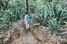 La Cangreja Waterfall trail at Rincon de la Vieja National Park, Guanacaste, Costa Rica