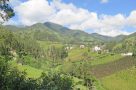 Walking to Otavalo, Ecuador