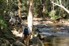 Gentle walking wildlife kerala walking Chinnar