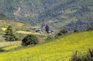Views of Haa Valley