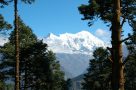 Between Sing Gompa adn Thulo Syabru. Image by P Smith