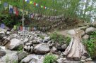 Walking in the Langtang region