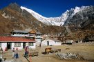 Kyanjing Gompa on the Langtang acclimatisation trek in Nepal by A Harrison