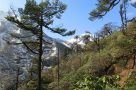 Scenery above Langmale. Image by N Morgan