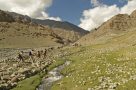 Trekking through scenery of pasture and gorges. Image by Torpoint