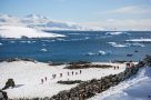 Antarctic shore landing