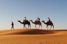 Group camel ride through the Moroccan desert