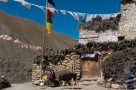 Village house at Dho Tarap