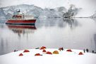 Optional activity - Antarctica camping