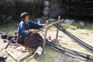 A weaver. Image by N Sloman