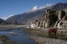 En route to Jomsom, trekking in the Mustang region