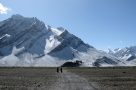 Monks walking to Ringdom Gompa