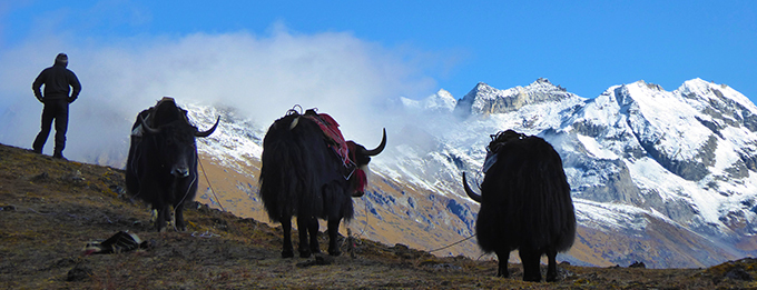 Postcard from Bhutan's mountains