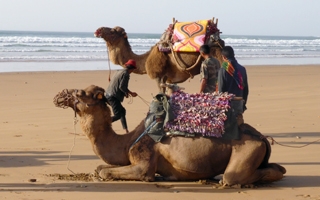 Steve's adventure - trekking the coast of Morocco