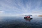 Realm of the Polar Bear in Depth, Arctic