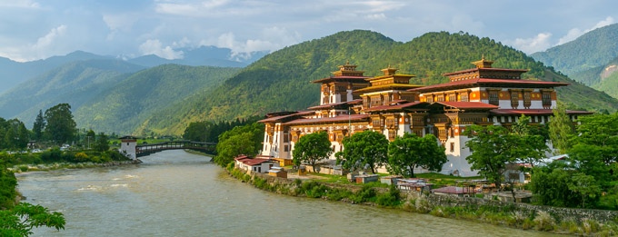 Elephant of the week