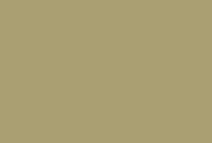 Gold 2850x300